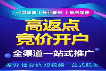 专业SEM托管服务成功案例分享